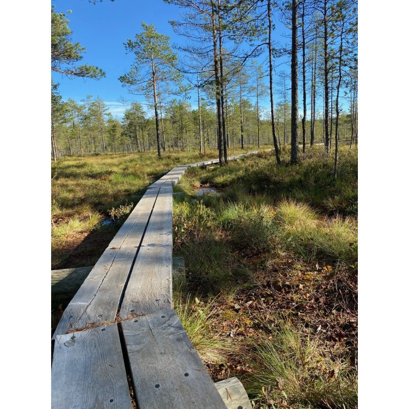 Hatlamminsuon luontokierros erityisryhmille