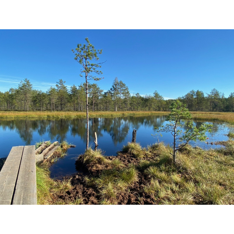 Hatlamminsuon luontopolun kierros patikoiden erityisryhmille