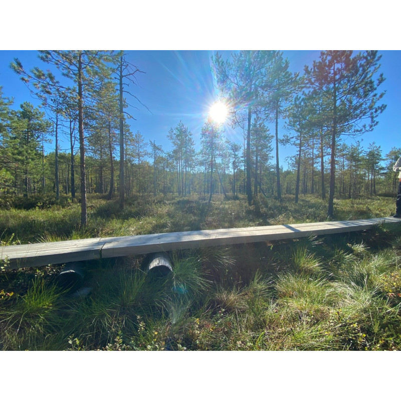 Hatlamminsuon luontopolun kierros patikoiden erityisryhmille