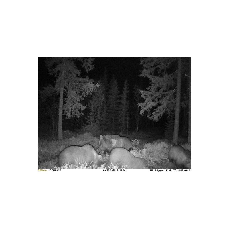 Uovision Compact 4G LTE Cloud 20MP Full HD, etäohjattava riistakamera