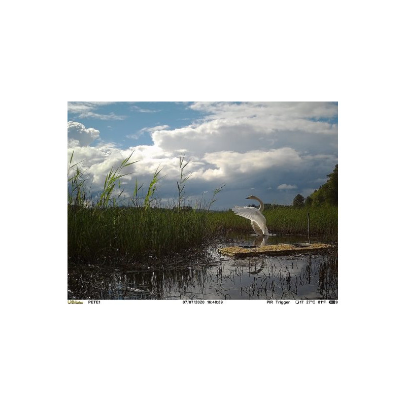 Uovision Compact 4G LTE Cloud 20MP Full HD, etäohjattava riistakamera