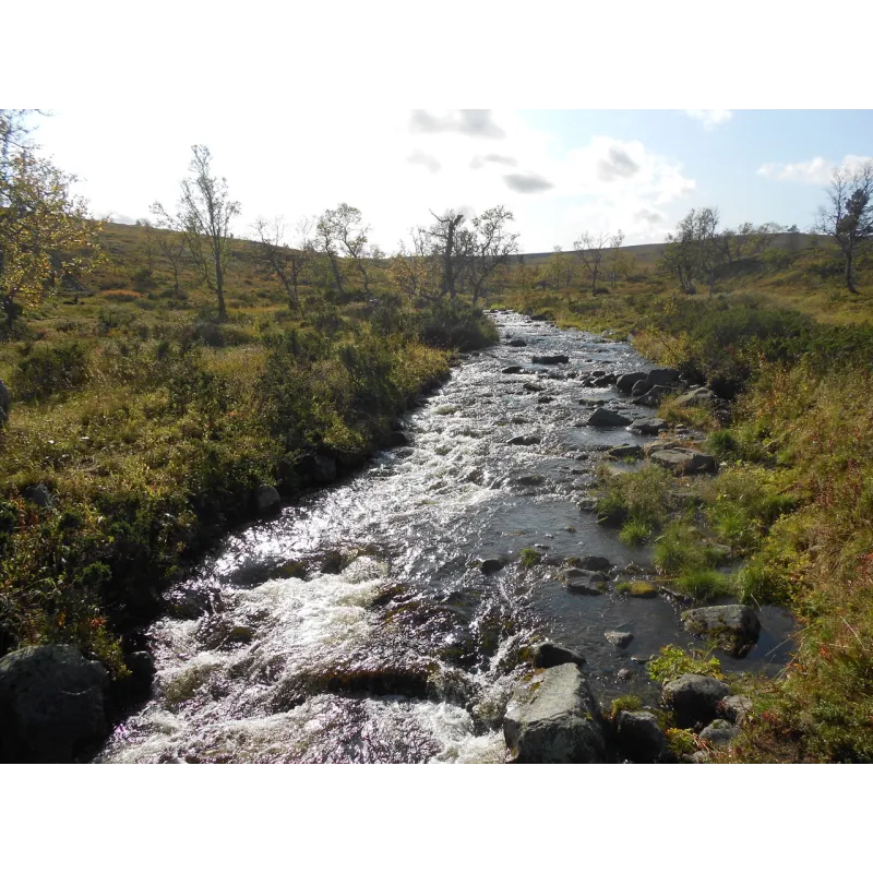 Hetta-Pallas ruskavaellus 9.9-12.9.2026