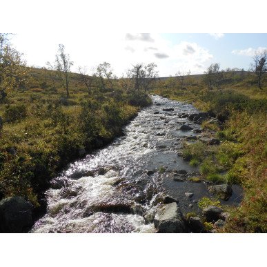 Vaellus | Hetta-Pallas ruskavaellus 10.9-13.9.2025