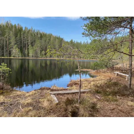 Keväinen päiväretki Komiolle 16.5.2026