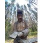 Kesäinen päiväretki Komiolle 5.7.2025