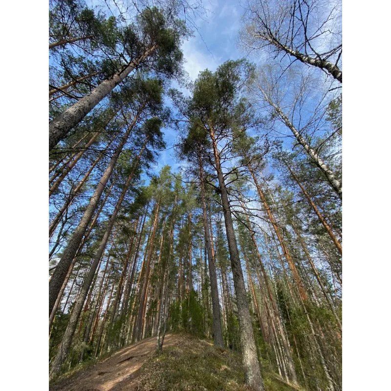 Keväinen päiväretki Komiolle 16.5.2026