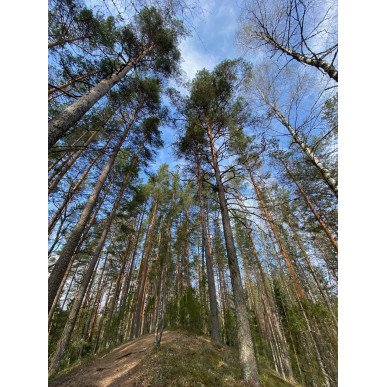 Keväinen päiväretki Komiolle 16.5.2026