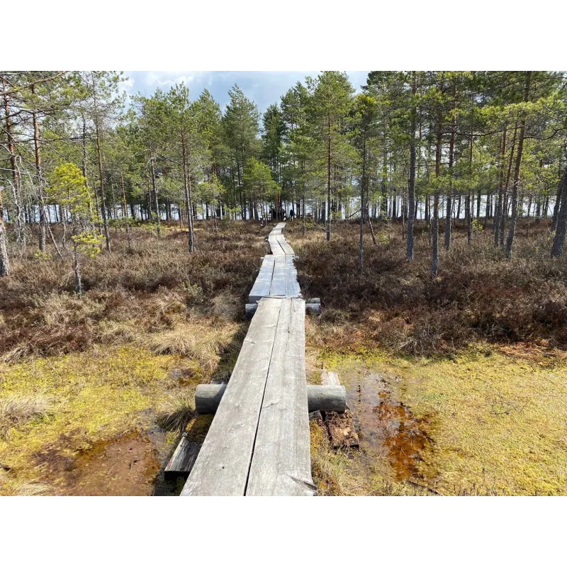 Keväinen päiväretki Komiolle 16.5.2026