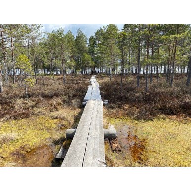 Keväinen päiväretki Komiolle 16.5.2026