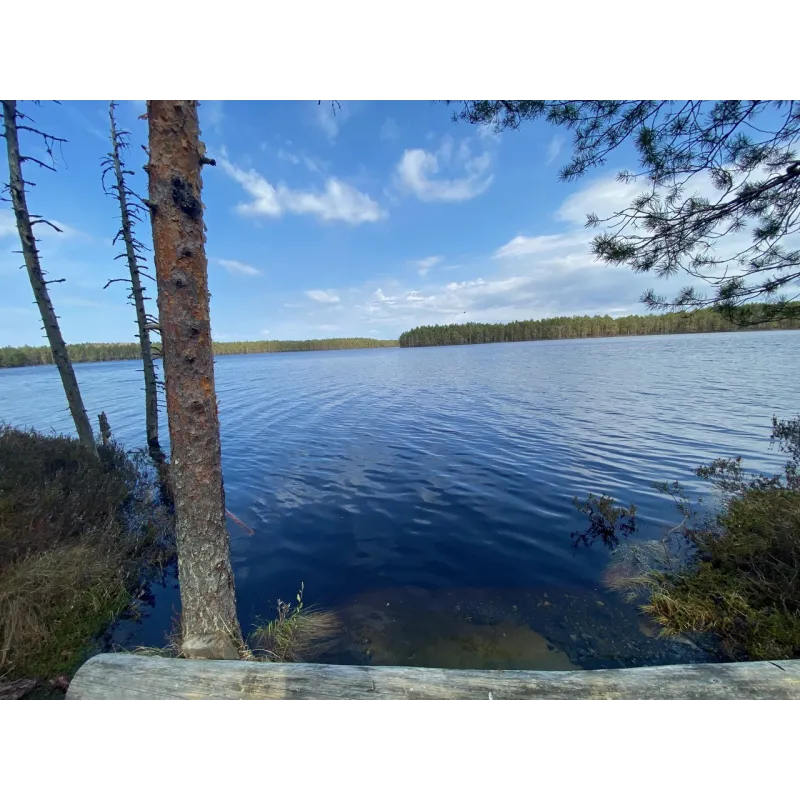 Keväinen päiväretki Komiolle 16.5.2026