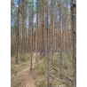 Kesäinen päiväretki Komiolle 25.7.2026