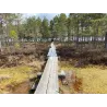 Kesäinen päiväretki Komiolle 25.7.2026