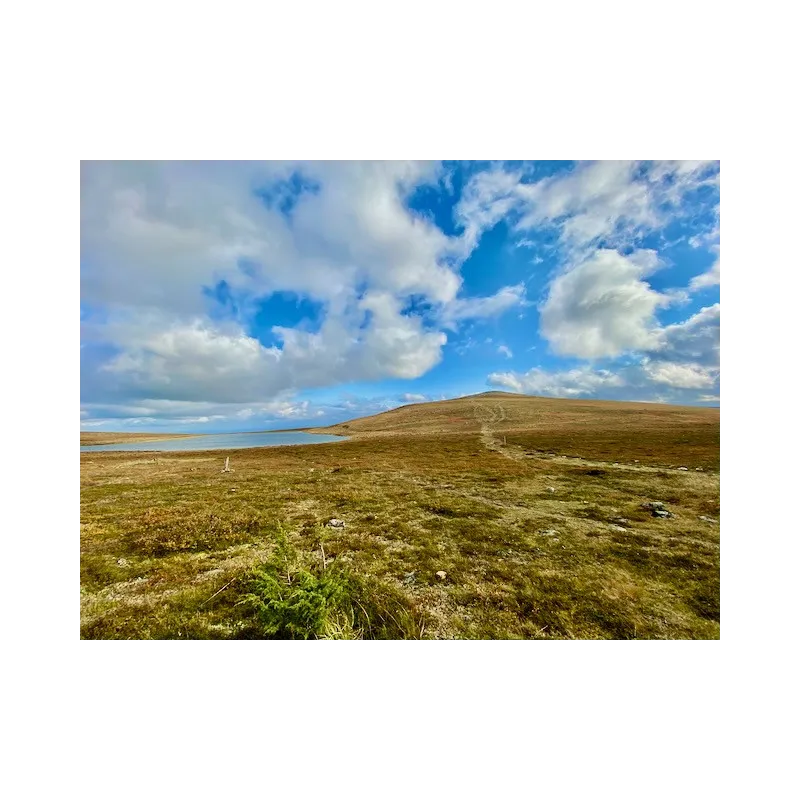 Hetta-Pallas ruskavaellus 9.9-12.9.2026