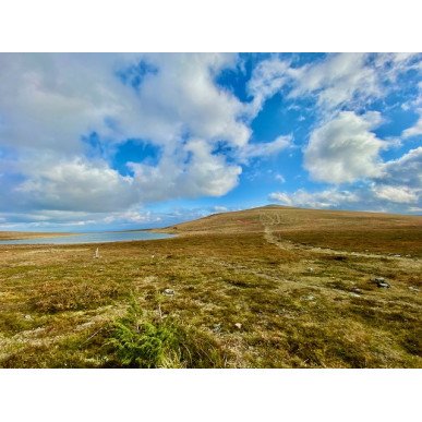 Hetta-Pallas ruskavaellus 9.9-12.9.2026