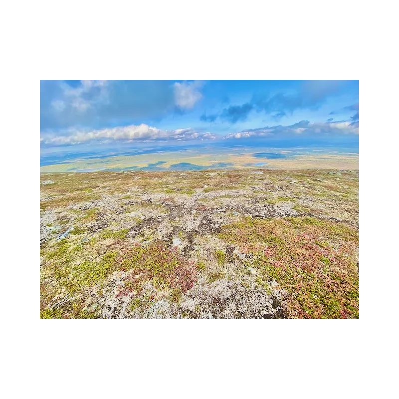 Hetta-Pallas ruskavaellus 9.9-12.9.2026