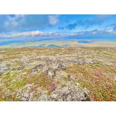 Hetta-Pallas ruskavaellus 9.9-12.9.2026