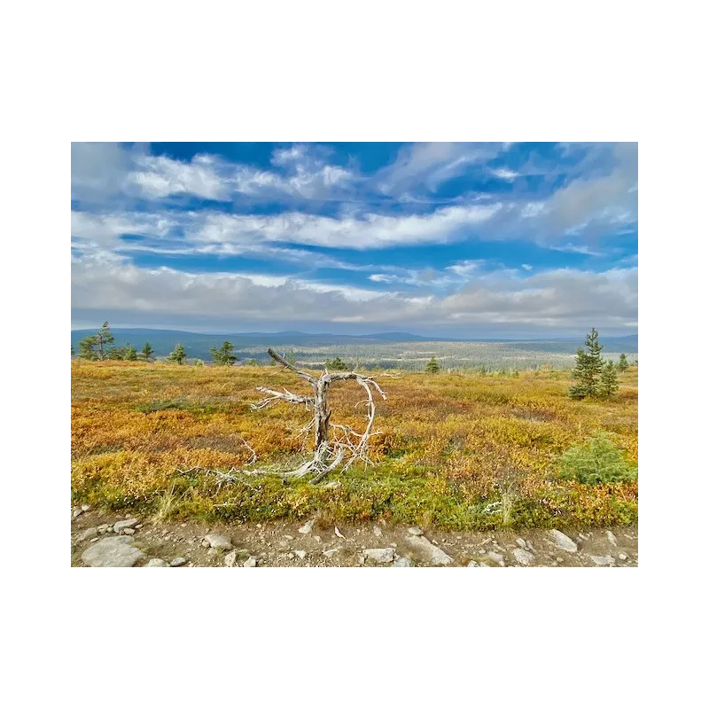 Hetta-Pallas ruskavaellus 9.9-12.9.2026