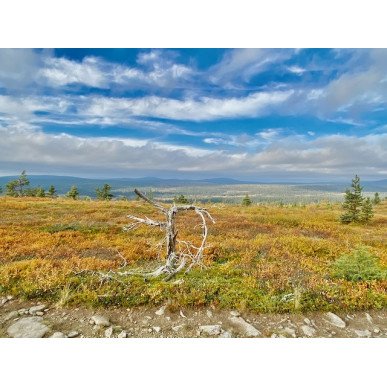 Hetta-Pallas ruskavaellus 9.9-12.9.2026