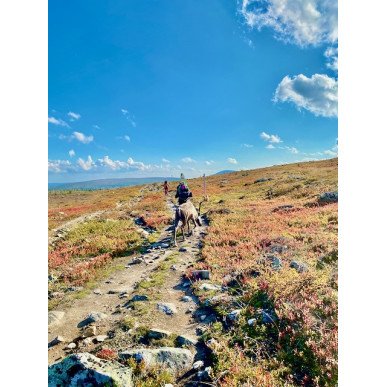 Hetta-Pallas ruskavaellus 9.9-12.9.2026