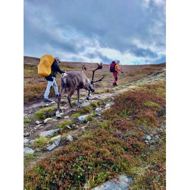 Hetta-Pallas ruskavaellus 9.9-12.9.2026