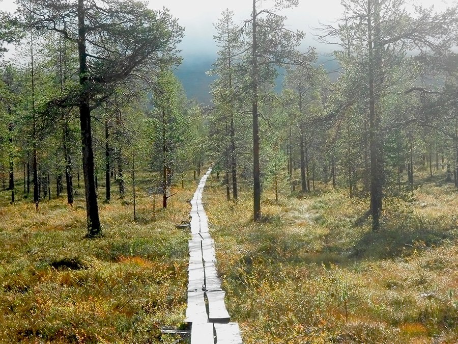 Retkielämys Oy | Erä- ja luontopalvelut